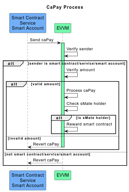 CaPay Process
