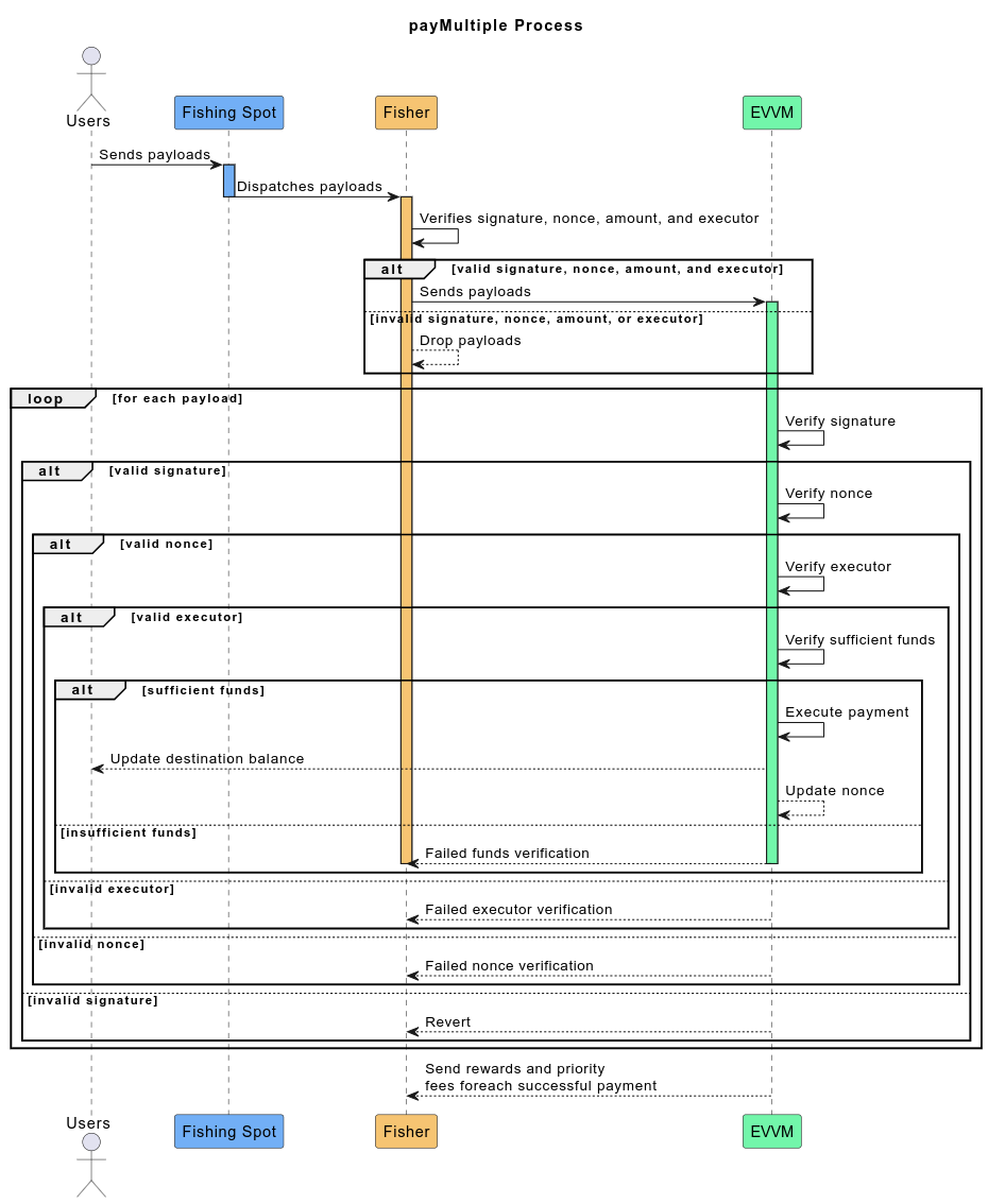 PayMultiple Process
