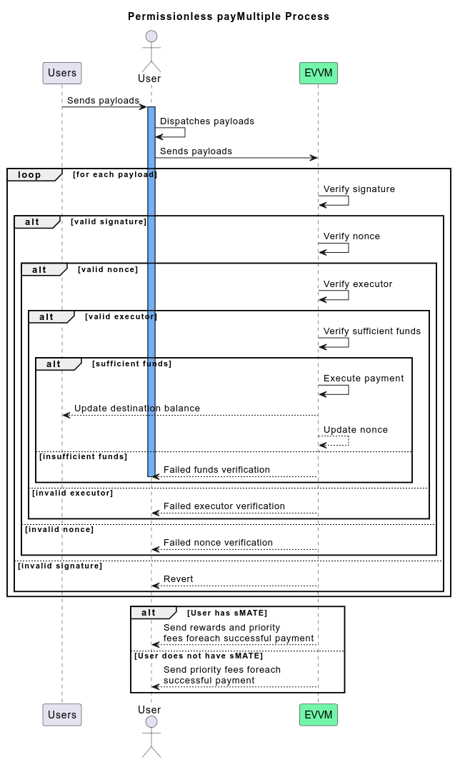 PayMultiple Process